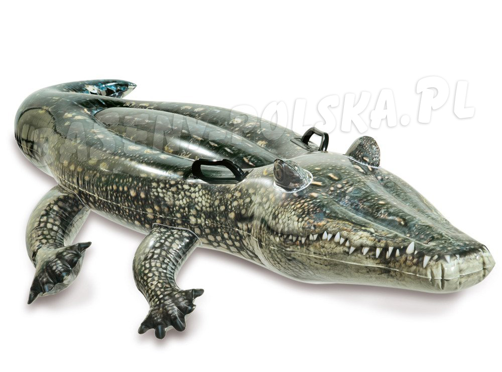 Aligator dmuchany krokodyl do pływania 170 x 86 cm INTEX 57551