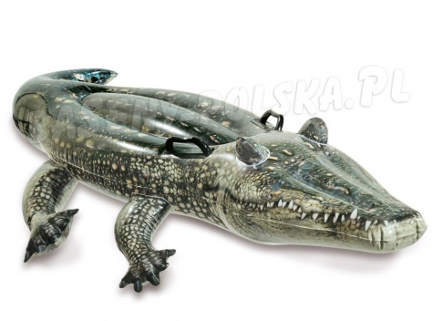 Aligator dmuchany krokodyl do pływania 170 x 86 cm INTEX 57551